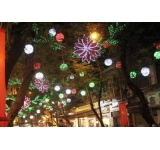 CÀNH HOA LED.
